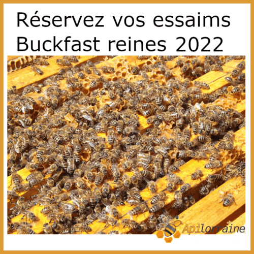 Essaims d'abeille de l'année 2022